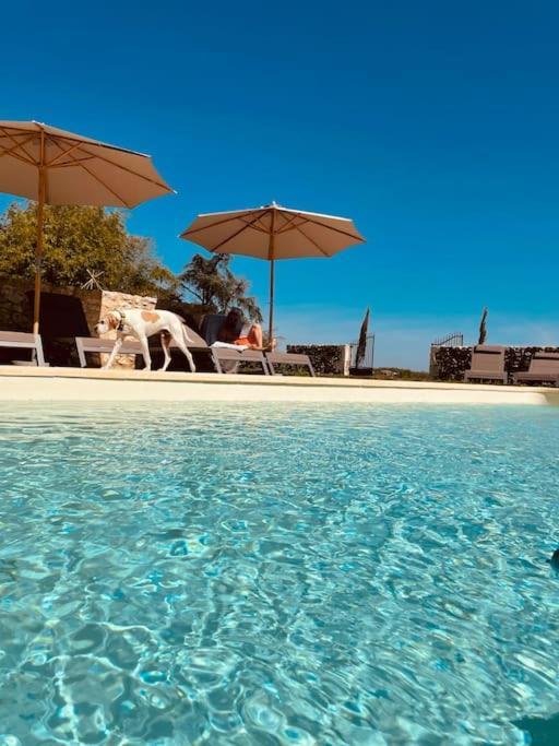 Dome Insolite Cedre Jacuzzi Et Petits Dejeuners Inclus Lagraulet-du-Gers Εξωτερικό φωτογραφία
