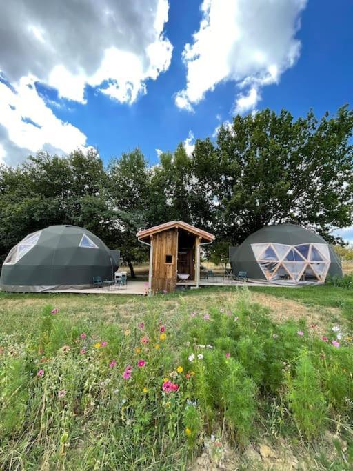 Dome Insolite Cedre Jacuzzi Et Petits Dejeuners Inclus Lagraulet-du-Gers Εξωτερικό φωτογραφία